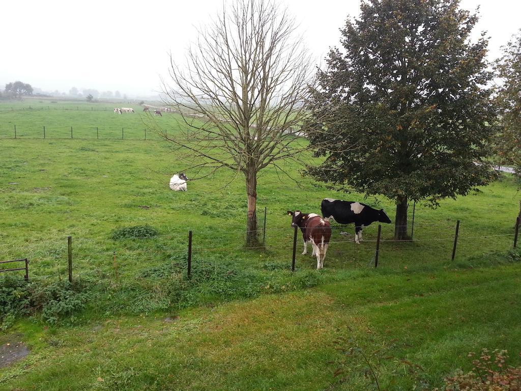 B&B De Rivierduin Hattem Exterior photo